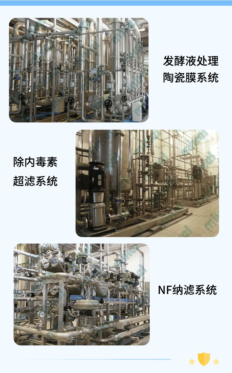 膜系统.jpg